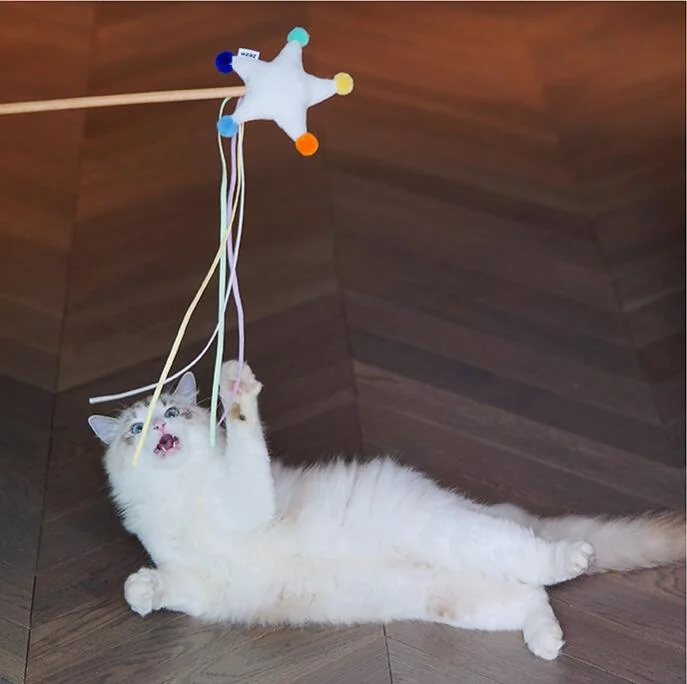 ISO RoHS Wholesale New Pet Product Cat Toys with Cat Teaser Cute Star Pet Toys and Pet Item