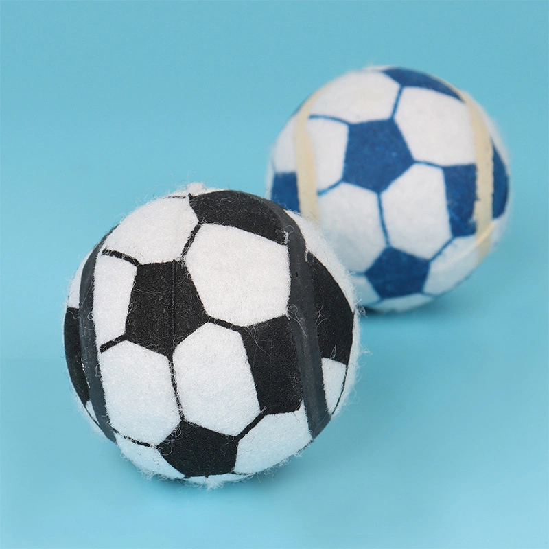 Hot Sell Pet Toy Bite Resistance Football Toy Ball Dog Molar Cute Round Shape Sounding Chew Toy Training Ball Pet Supplies